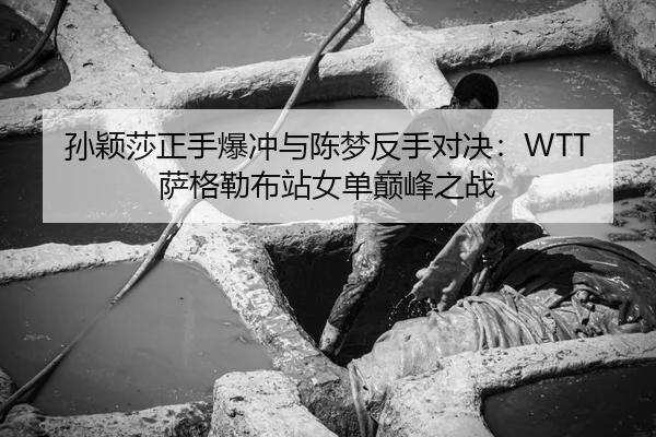 孙颖莎正手爆冲与陈梦反手对决：WTT萨格勒布站女单巅峰之战