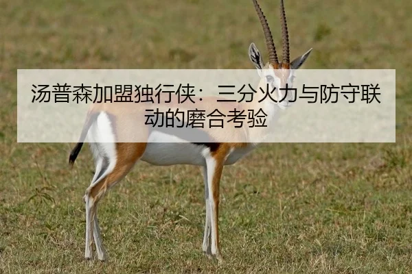 汤普森加盟独行侠：三分火力与防守联动的磨合考验